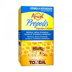 APICOL PROPOLIS 40 VGCAPS - Imagen 1