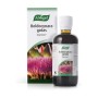 BOLDOCYNARA 100 ML. - Imagen 1