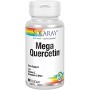 MEGA QUERCITIN 800 MG 60 VEGCA - Imagen 1