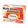 VALLESOL MULTIVIT. + GINSENG 24 COMPR - Imagen 1