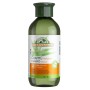 CHAMPU HIDRATANTE GOJI Y ALOE BIO - Imagen 1