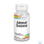 ADRENAL SUCCESS 60 VGCAPS - Imagen 1