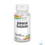 ADRENAL SUCCESS 60 VGCAPS - Imagen 1