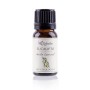 ACEITE EUCALIPTO BIO 12 ML - Imagen 1