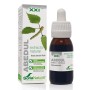 EXTRACTO ABEDUL XXI 50 ML - Imagen 1