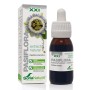 EXTRACTO PASIFLORA XXI 50 ML - Imagen 1