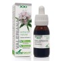 EXTRACTO VALERIANA XXL 50 ML - Imagen 1