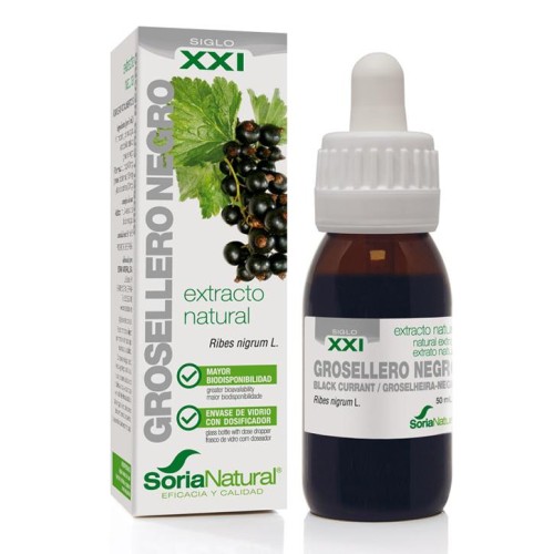 EXTRACTO GROSELLERO NEGRO XXI 50 ML EXTRACTO GROSELLERO NEGRO XXI 50 ML - Imagen 1