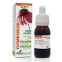 COMPOSOR 08 ECHINA XXI 50 ML - Imagen 1