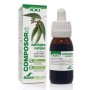 COMPOSOR 12 EUCALYPTUS XXI 50 ML - Imagen 1