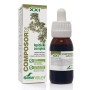 COMPOSOR 25 LEPIDIUM XXI 50 ML - Imagen 1