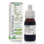 EXTRACTO ARTEMISA XXI 50 ML - Imagen 1