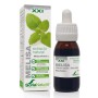 EXTRACTO MELISA XXI 50 ML - Imagen 1