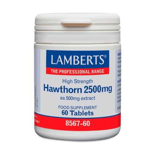 ESPINO BLANCO 60 TAB. 2500 MG - Imagen 1