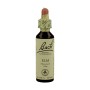 BACH OLMO BLANCO 20ML ( ELM ) - Imagen 1