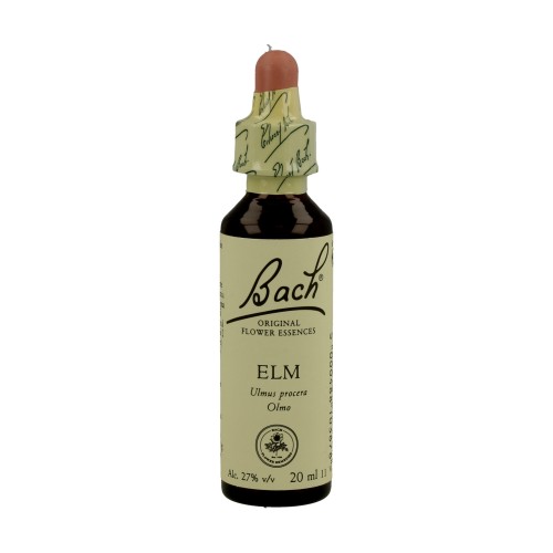 BACH OLMO BLANCO 20ML ( ELM ) - Imagen 1