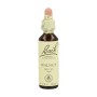 BACH NOGAL 20ML ( WALNUT ) - Imagen 1