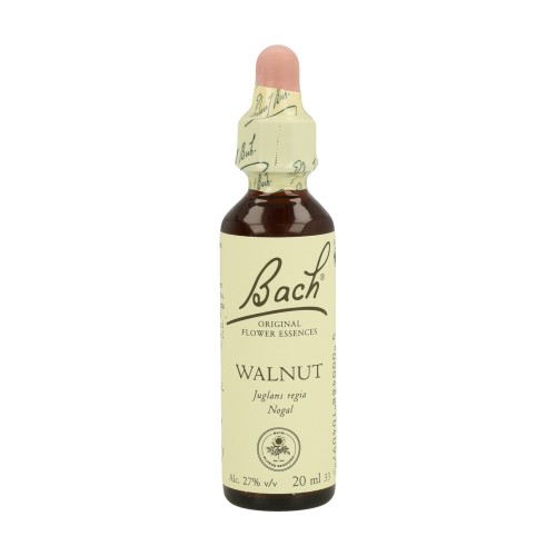 BACH NOGAL 20ML ( WALNUT ) - Imagen 1