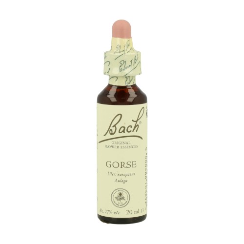 BACH AULAGA 20ML ( GORSE ) - Imagen 1