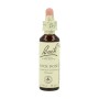 BACH HELIANTEMO 20 ML ( ROCK ROSE ) - Imagen 1