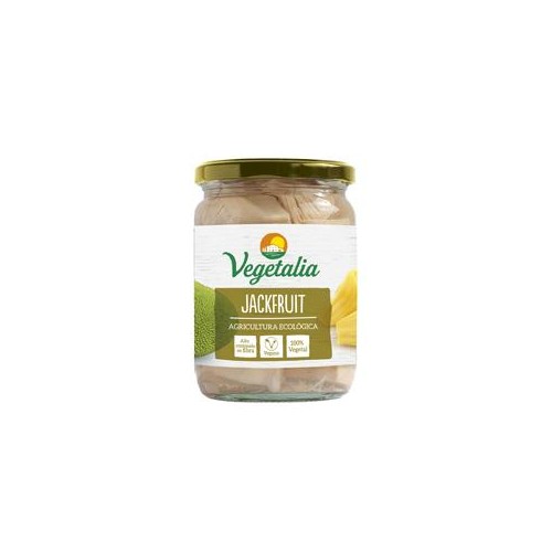 JACKFRUIT BOTE VIDRIO 500 GR BIO - Imagen 1