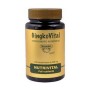 GINKGOVITAL 400MG 120 COMP HERDIBEL - Imagen 1