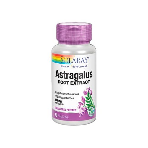 ASTRAGALUS 30 CAPS 200 MG ASTRAGALUS 30 CAPS 200 MG - Imagen 1