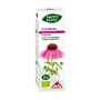 PHYTOBIOPOLE ECHINACEA BIO 50 ML - Imagen 1