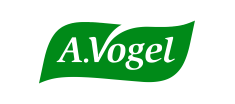 VOGEL